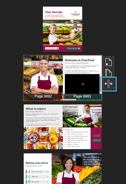 Fully Editable: Adding Pages