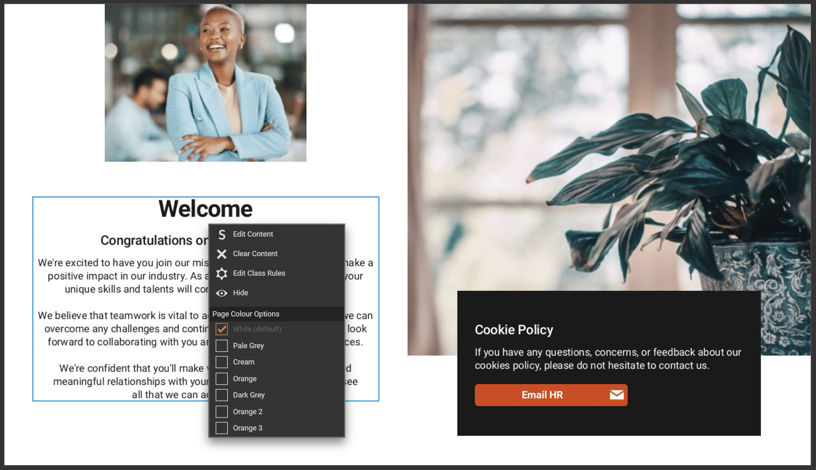 Fully Editable vs Layout Library