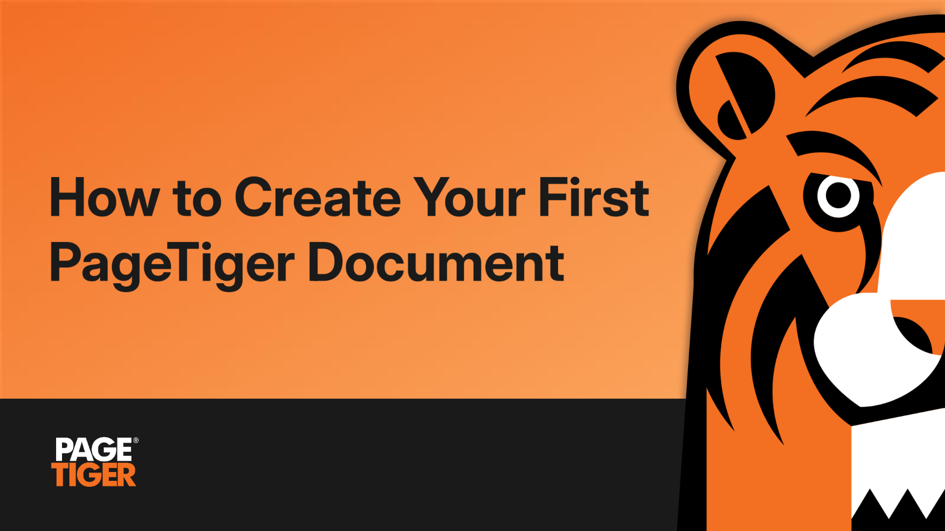 How to Create Your First PT Document