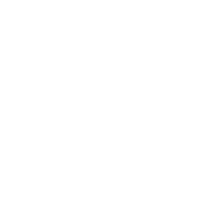 PageTiger Icons_DISTRIBUTE-WHITE