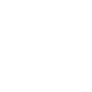 PageTiger Icons_INTERACTIVITY-WHITE