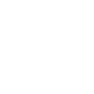 PageTiger Icons_SECURITY-WHITE